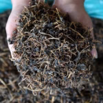 Gundruk Fermented leafy greens | Traditional Himalayan Super-food - 100gm