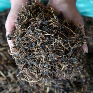 Gundruk Fermented Spinach - Traditional Delicacy of Nepali Cuisine