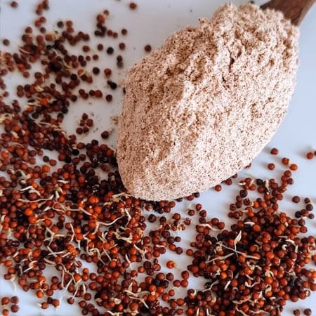 Organic Ragi Flour from Sikkim | Stone-Ground Himalayan Millet - 500 gm